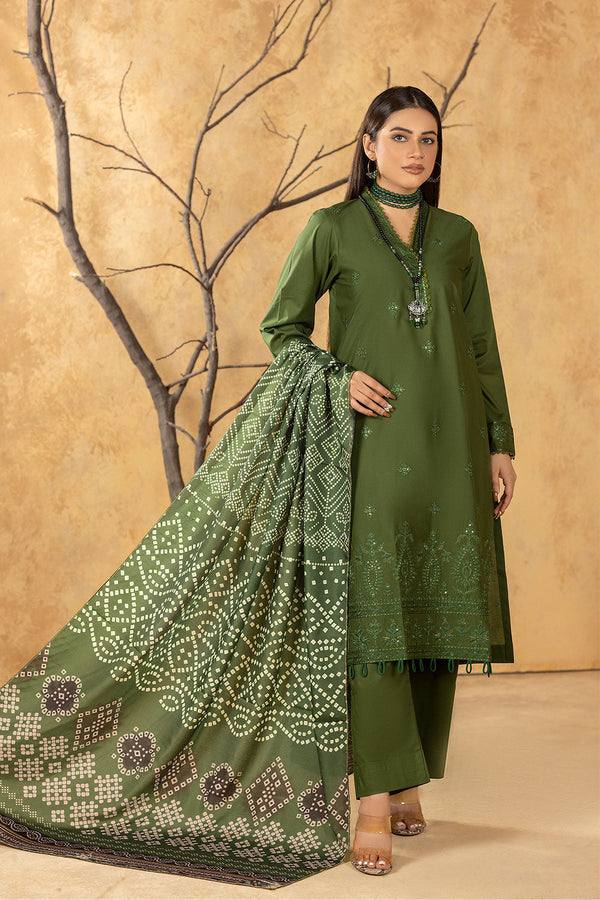 SEC-79 - SAFWA ETSY 3-PIECE EMBROIDERED COLLECTION VOL 06