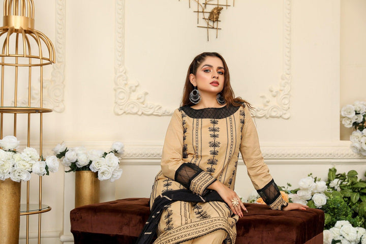 SEC-29 - SAFWA ETSY 3-PIECE EMBROIDERED COLLECTION VOL 02 - SAFWA Brand