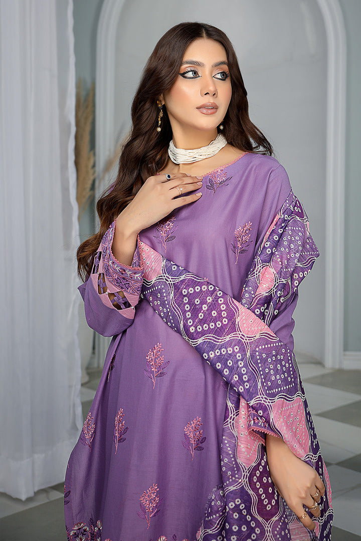 SEC-44 - SAFWA ETSY 3-PIECE EMBROIDERED COLLECTION VOL 03