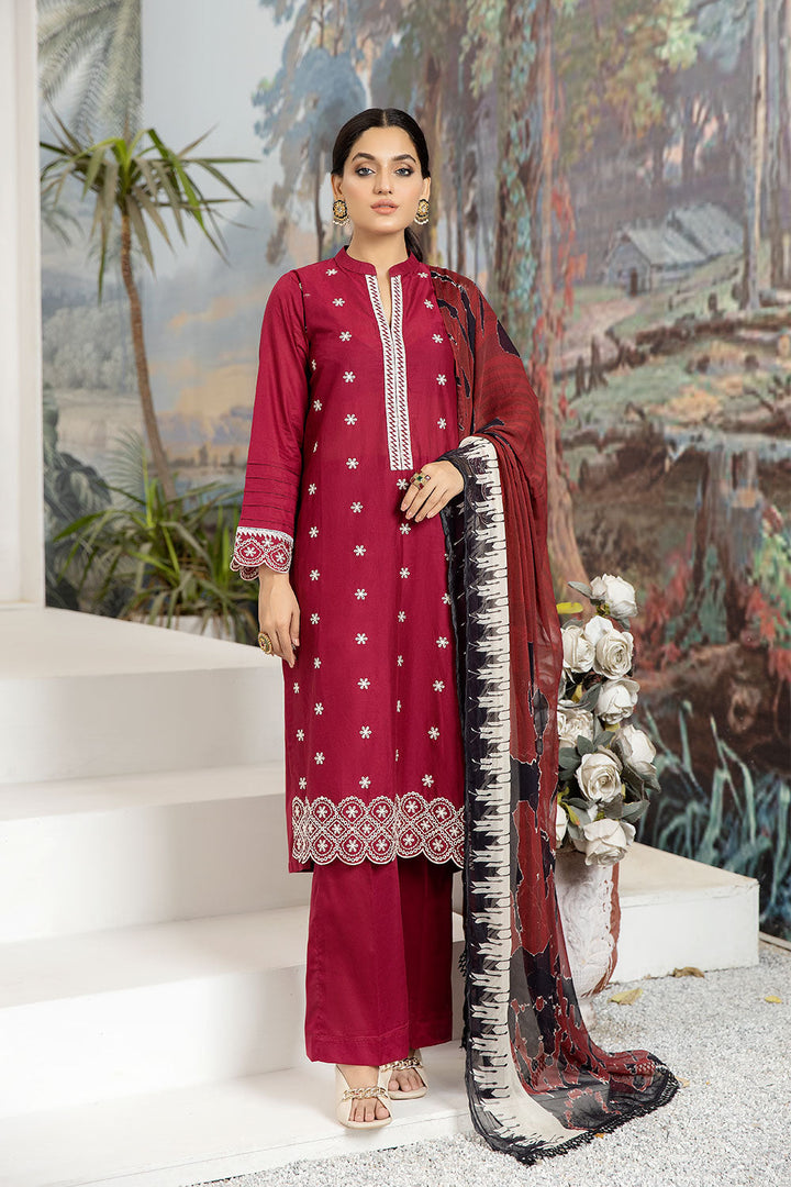 SEC-60 - SAFWA ETSY 3-PIECE EMBROIDERED COLLECTION VOL 04