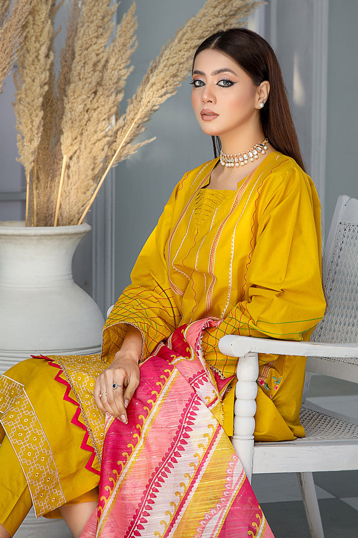 SEC-37 - SAFWA ETSY 3-PIECE EMBROIDERED COLLECTION VOL 03